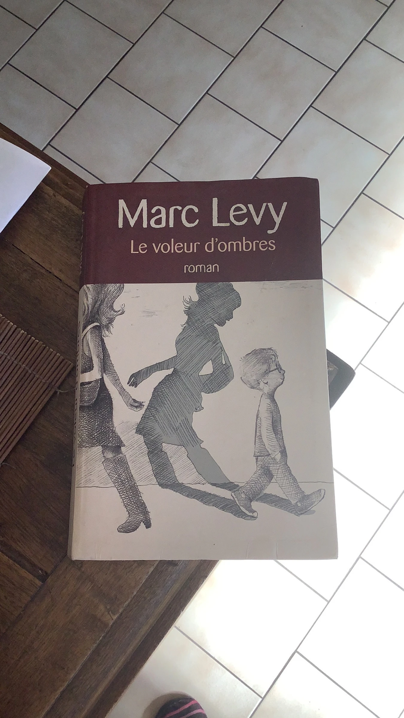 Le Voleur d'Ombre Marc Levy